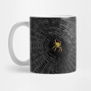 spider Mug